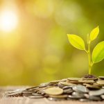 XP lança fundo de previdência com ações de empresas sustentáveis